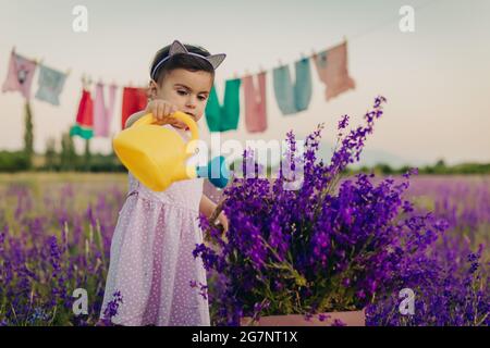 Porträt von überraschte kleine Mädchen im Lavendelfeld und Bewässerung Blumen mit gelben Kunststoff Gießkannen stehen Stockfoto