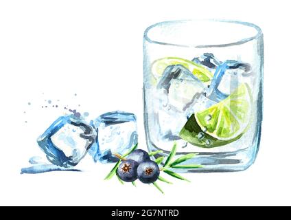 Gin tonik mit Eiswürfeln, Limettenscheibe und Wacholderbeeren. Aquarell handgezeichnete Illustration isoliert auf weißem Hintergrund Stockfoto