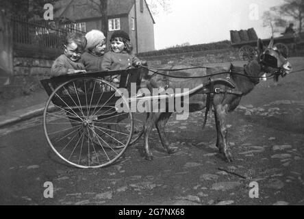 1930, historische, drei kleine Kinder sitzen zusammen in einem zweirädrigen Wagen, der von einer Ziege in einem Geschirr gezogen wird, mit einem kleinen Mädchen, das sich an den Zügeln hält, Mirfield, Yorkshire, England, Großbritannien. Als Transportmittel werden Ziegen seit Tausenden von Jahren als Karren- oder Zugtiere eingesetzt, was einfacher zu mangen und mit kleinen Pferden zu arbeiten ist. Ziegenkarren und Waggons waren zu einer Zeit ein beliebtes Transportmittel für Kinder und eine Fotomotive, da Ziegen sehr Menschen-orientierte Tiere sind und in den späten 1800er und frühen 1900er Jahren Ziegenmänner Fahrten für Jugendliche und Touristen gleichermaßen anbieten würden. Stockfoto