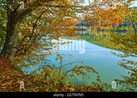Vilshany Wasserreservoir am Tereblya Fluss, Transkarpatien, Ukraine. Malerischer See mit Wolken Reflexion. Schöner Herbsttag in Karpaten M Stockfoto