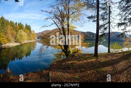 Waldwiese am Ufer des malerischen Sees. Vilshany Wasserreservoir am Tereblya Fluss, Transkarpatien, Ukraine. Schöner Herbsttag in Karpaten Stockfoto