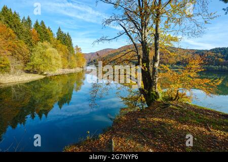 Waldwiese am Ufer des malerischen Sees. Vilshany Wasserreservoir am Tereblya Fluss, Transkarpatien, Ukraine. Schöner Herbsttag in Karpaten Stockfoto