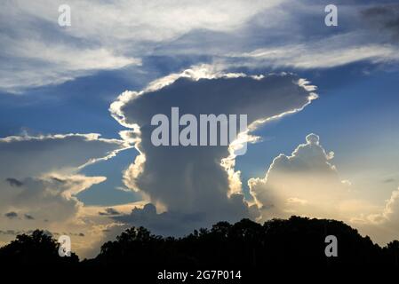 Aufragende Cumulonimbus-Wolken sind im Norden von Zentral-Florida mit Sonnenlicht am späten Nachmittag überflutet. Stockfoto