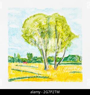 Skizze der Sommerlandschaft mit zwei Bäumen an sonnigen Tagen, handgezeichnet von Aquarellstiften auf weißem Strukturpapier Stockfoto