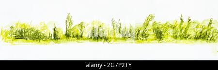 Skizze von grünem Unterholz am Sommertag von Hand gezeichnet mit Aquarellstiften auf weißem Strukturpapier Stockfoto