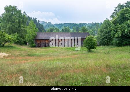 Alte, hölzerne Scheune zwischen grünen Bäumen, auf einer Wiese. Wald im Hintergrund. Krasnobród, Roztocze, Polen. Stockfoto