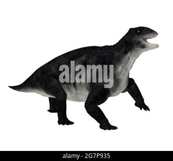 Delphinognathus war ein synapsidisches pflanzenfressendes Tier, das in der Permianzeit in Südafrika lebte. Stockfoto