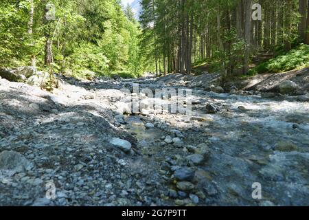 Wanderung zum Helischopf mit Blick auf die Berner Alpen entlang der schwarzen Lütschine Stockfoto