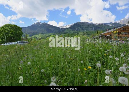 Wanderung zum Helischopf mit Blick auf die Berner Alpen entlang der schwarzen Lütschine Stockfoto