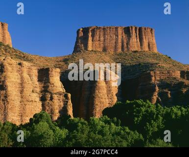 Aravaipa Canyon East Graham Co. AZ / JUNE Plateaus, bekannt als die Kamine über grünen Cottonwood-Bäumen und Aravaipa CRK, sind nur wenige von der Straße aus zu sehen Stockfoto