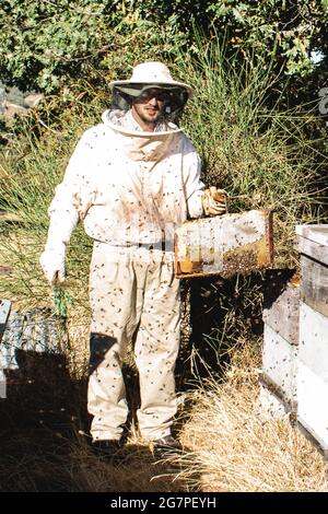 Junge Imkerin trägt einen Bienenstachschutzanzug mit einer Wabe mit Honig und Wachs und auf der anderen Seite einen selektiven Fokus, um die Bienen zu scheuern Stockfoto