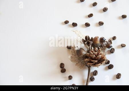 Verteilen Sie Kaffeekörner, Kegel und zwei Eicheln auf einer weißen Oberfläche Stockfoto