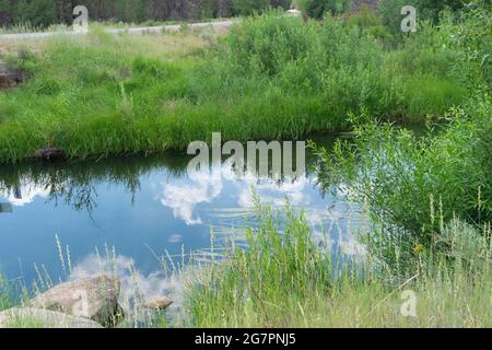 Long Creek mündet in das Sycan Marsh in Lake County, Oregon. Stockfoto