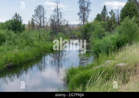 Long Creek mündet in das Sycan Marsh in Lake County, Oregon. Stockfoto