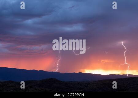 Während der Monsunsaison 2020 in arizona treffen Blitze auf die Bradshaw Mountains in Arizona. Stockfoto