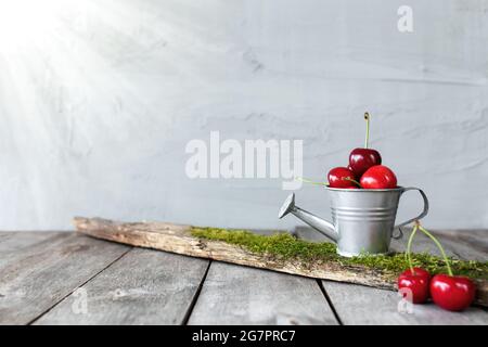 Süße Kirschbeeren in Gießkanne auf Holzhintergrundtisch, graue Wand Stockfoto