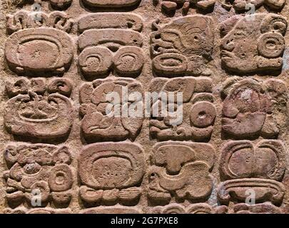 Maya-Alphabet.Nahaufnahme des Hieroglyphen-Glyphen-Schreibsystems in Copan (Honduras), Tikal (Guatemala) und Chichen Itza, Palenque, Uxmal, Bonampak (Mexiko) Stockfoto