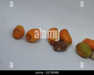 Rohe Zehidi-Datteln mit isolierten Samen auf weißem Hintergrund Stockfoto