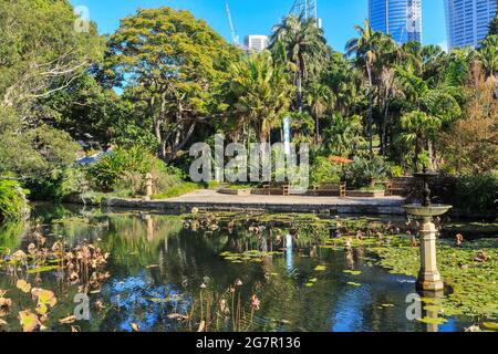 Der Lotusteich im Royal Botanic Garden, einem großen Park in Sydney, Australien Stockfoto