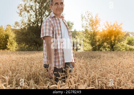 Mann Bauer in einem karierten Hemd mit positiven Emotionen in einem Weizenfeld Stockfoto