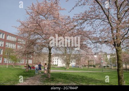 Fotos aus Aachen Stockfoto