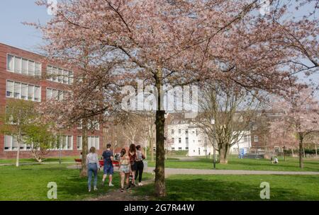 Fotos aus Aachen Stockfoto