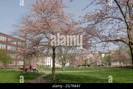 Fotos aus Aachen Stockfoto