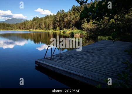 egelsee, umgeben von Mooren und Mooren. Österreich, Oberösterreich, Oberösterreich Stockfoto