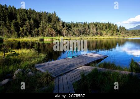 egelsee, umgeben von Mooren und Mooren. Österreich, Oberösterreich, Oberösterreich Stockfoto