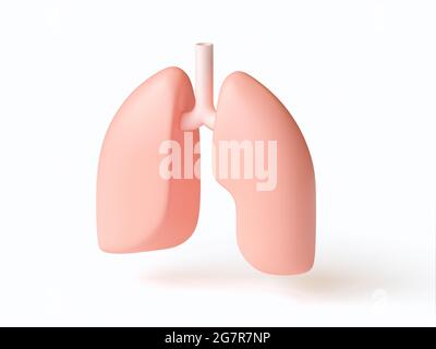 Isometrische 3d-Darstellung von stilisierten menschlichen Lungen, isoliert auf Weiß. Inspiriert von flachen Designtrends Stockfoto