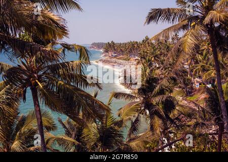 Palmenwedel auf einer Klippe mit Blick auf das Arabische Meer, Varkala, Kerala, Indien Stockfoto