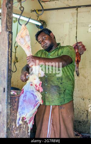 Nahaufnahme des Portraits der Metzgerei aus rohem rotem Tierfleischkadaver, der am Fleischhaken in der Metzgerei in Fort Kochi (Cochin), Kerala, Indien, hängt Stockfoto