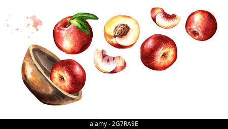 Schüssel mit fliegenden reifen frischen Nectarine Pfirsichen Früchten. Handgezeichnete Aquarelldarstellung isoliert auf weißem Hintergrund Stockfoto