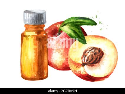 Reife, frische Nectarinpfirsiche und eine Flasche ätherisches Öl. Handgezeichnete Aquarellillustration, isoliert auf weißem Hintergrund Stockfoto