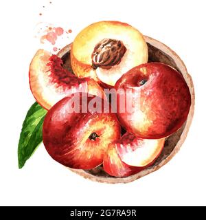 Reife frische Nectarine-Pfirsiche in der Platte Draufsicht Zusammensetzung. Handgezeichnete Aquarelldarstellung isoliert auf weißem Hintergrund Stockfoto
