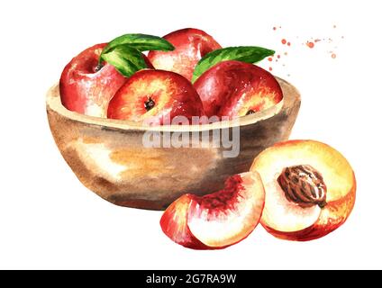 Schüssel mit reifen frischen Nectarine Pfirsichen Früchten. Handgezeichnete Aquarelldarstellung isoliert auf weißem Hintergrund Stockfoto