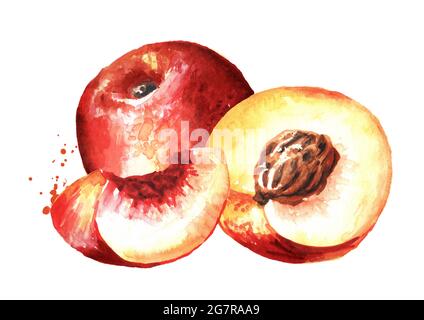 Reife frische Nectarine Pfirsiche mit Scheibe. Handgezeichnete Aquarelldarstellung isoliert auf weißem Hintergrund Stockfoto