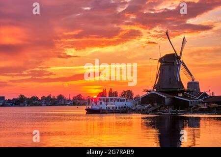 Windmühlen in Zaanse Schans in Holland auf den Sonnenuntergang. Zaandam, Niederlande Stockfoto