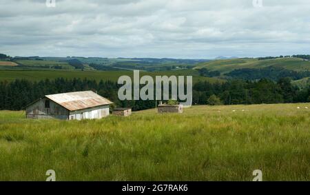 Hütte im Stobs Camp in der Nähe von Hawick. Das Stobs Camp ist ein Militär- und Internierungslager für deutsche Kriegsgefangene während des Ersten Weltkriegs. Stockfoto