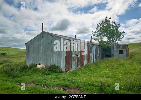 Hütte im Stobs Camp in der Nähe von Hawick. Das Stobs Camp ist ein Militär- und Internierungslager für deutsche Kriegsgefangene während des Ersten Weltkriegs. Stockfoto