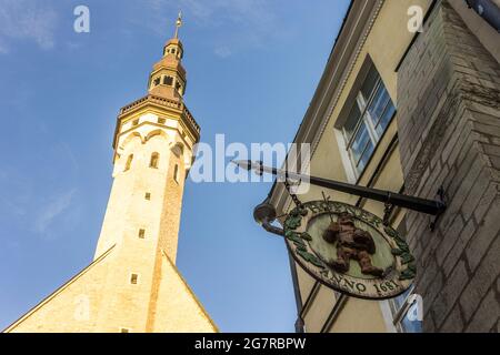 Tallinn, Estland. Der Turm des Tallinner Rathauses (Tallinna raekoda) Stockfoto