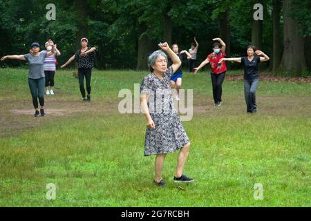 Eine ältere Frau nimmt an einem Tanzkurs in einem Park in Queens, New York City, Teil. Stockfoto