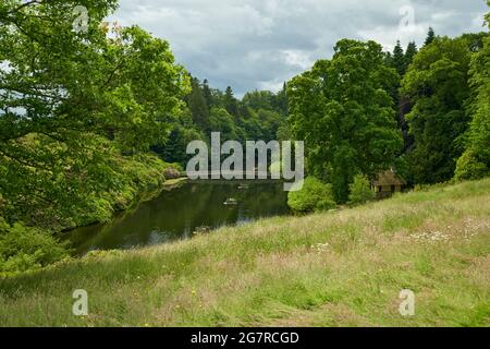 Rasen absichtlich entmähen, um die Vielfalt der Pflanzenwelt für Bestäuber zu fördern. Manderston House in den Scottish Borders. Stockfoto