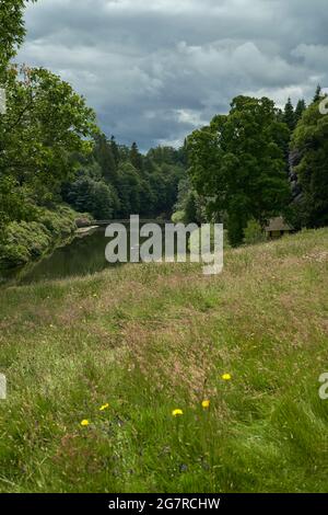 Rasen absichtlich entmähen, um die Vielfalt der Pflanzenwelt für Bestäuber zu fördern. Manderston House in den Scottish Borders. Stockfoto