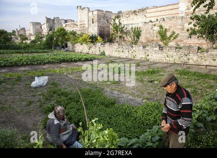 Fatih,Istanbul-Turkey - 05-20-2017 :Blick auf die historischen Stadtmauern und den Gemüsegarten Istanbuls Stockfoto