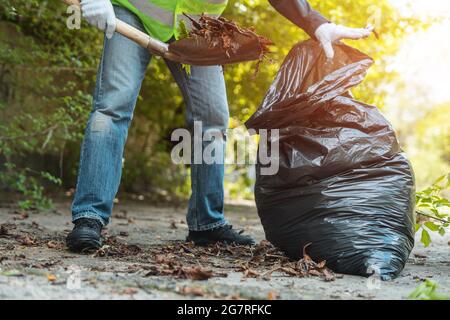 Mann säubert freiwillig den Park oder sammelt Laub mit Schaufel im Müllbeutel Stockfoto