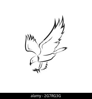 Vektor eines Adler-Designs auf weißem Hintergrund. Vogel. Wilde Tiere. Leicht editierbare Vektorgrafik mit Ebenen. Stock Vektor