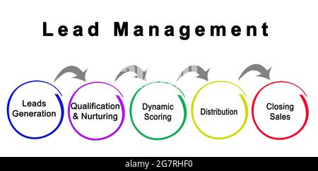 Fünf Komponenten des Lead-Managements Stockfoto