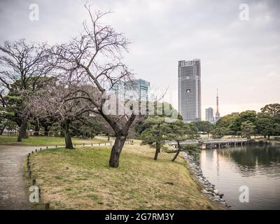 Schöne Aussicht auf Hama Rikyu in Tokio, Japan Stockfoto