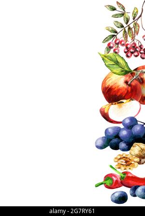 Hintergrund der Herbsternte. Handgezeichnete Aquarell-Illustration Stockfoto